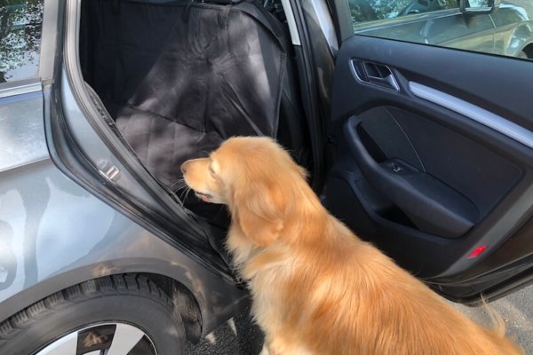 Floxik Autoschondecke für Hunde mit Seitenschutz für den Rücksitz_0615